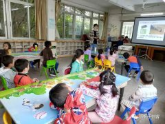 我是小小科学家——多米诺课堂回顾